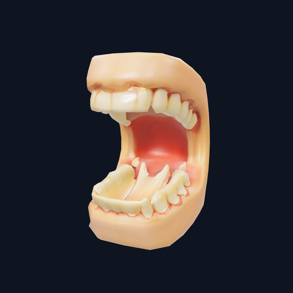 Dental Anatomy Model Pack